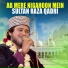 Sultan Raza Qadri