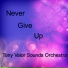 Tony Valor Sounds Orchestra