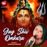 Sadhana Sargam