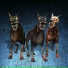 kizzu.money, Bsize, kyka.