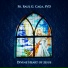 Fr. Raul G. Caga SVD