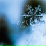 Iceone