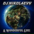 DJ NkolaevV