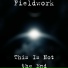 Fieldwork-This-Is-Not-the-End-Gran -Buduschego