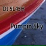 DJ 5L45H