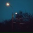 Lurt, hibernal