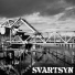Svartsyn