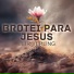 Leir Verling