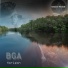 BGA