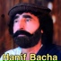 Hanif Bacha