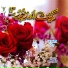 Shabnam Majeed