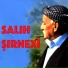 Salıh Sırnexi