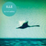 ILLE