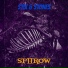 SPIIROW