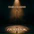 Павел Кашин