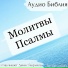 Денис Гаврилов