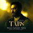 Reza Karami Tara