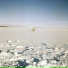 Alexander Turnquist