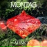 Montag