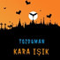 Toz Duman