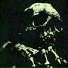 Buharik feat. Mxrk Sky, Diagnozzz Remix
