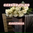 Gerson Filho
