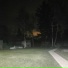 dij harz