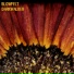 Blowfelt