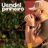 Uendel Pinheiro