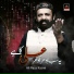 Ali Raza Kazmi