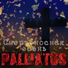 PALLIATUS