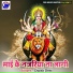 Dipak Desi
