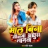 Ravi Raish