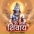 Vikas Singh