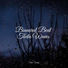 Weather Sounds, Rain Recorders, Musica Reiki