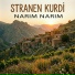 Stranen Kurdi