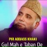 Pir Abbass Khaki