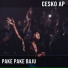 Cesko Ap