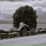 Nathanael Kassighian