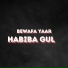 Habiba Gull