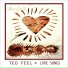 TEO FEEL