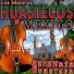 Los Mejores Huastecos de Mexico
