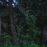 b379