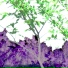 Lootus