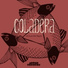 Coladera