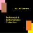 20-Bit Dream