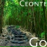 Ceonte