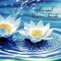 Water Healing Unit