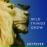 Skyfever