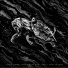 Seven Lions, Dabin feat. JIM